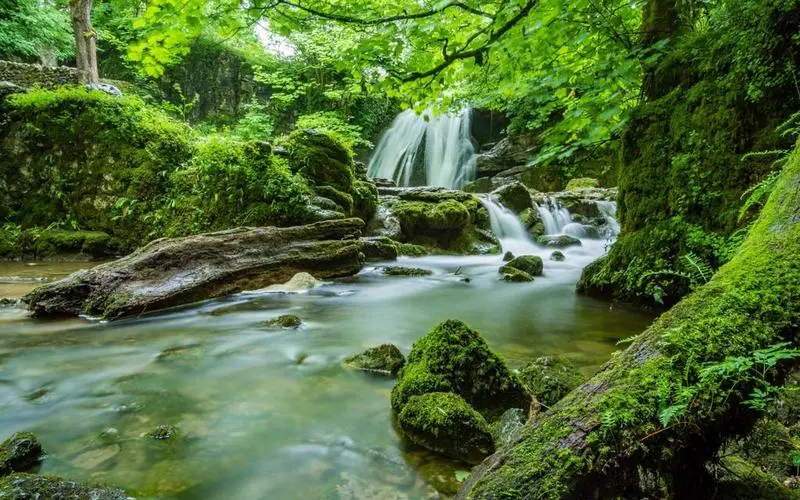 智能高标准